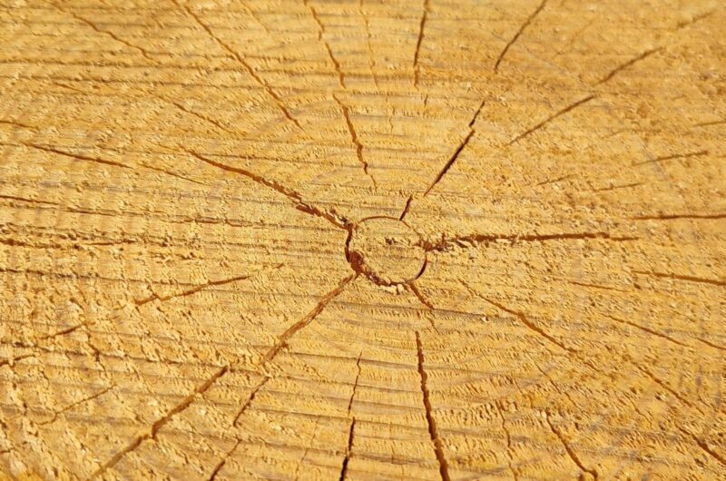 Vaigupisara saekaater KUUVALGE OÜ