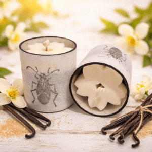 Lõhnaküünal VANILJE