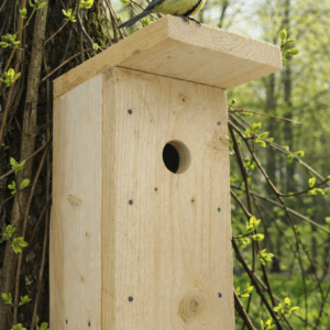 Pesakast RASVATIHANE