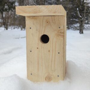 Pesakast RASVATIHANE